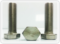 Hex Bolts