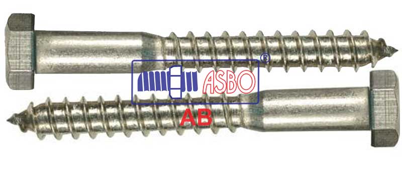 LAG SCREW